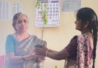 करदाताओं को पौधा देकर सम्मानित कर  दुर्ग निगम ने शुरू की अनूठी पहल