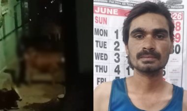 वायरल वीडियो के आधार पर कार्रवाई, गौवंश से कथित दुष्कर्म के आरोप में युवक जेल भेजा गया