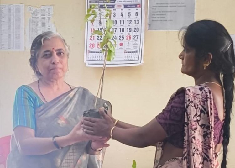 करदाताओं को पौधा देकर सम्मानित कर  दुर्ग निगम ने शुरू की अनूठी पहल