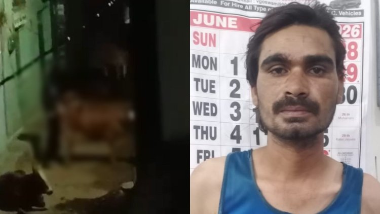 वायरल वीडियो के आधार पर कार्रवाई, गौवंश से कथित दुष्कर्म के आरोप में युवक जेल भेजा गया