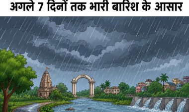 छत्तीसगढ़ में मानसून पूरी तरह सक्रिय, अगले 7 दिनों तक भारी बारिश के आसार