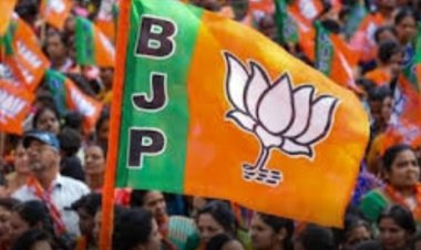 कर्मवीर बने छत्तीसगढ़ BJP के प्रदेश महामंत्री, नितिन नवीन ने की नियुक्ति
