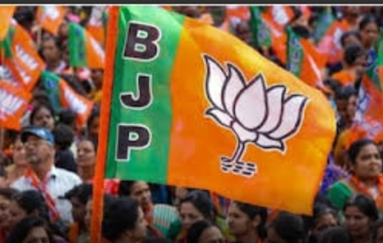 कर्मवीर बने छत्तीसगढ़ BJP के प्रदेश महामंत्री, नितिन नवीन ने की नियुक्ति