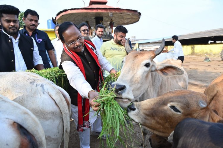 गौमाता की सेवा बहुत पुण्य का काम है: कृषि मंत्री राम विचार नेताम