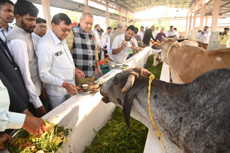 वाणिज्य और उद्योग एवं श्रम विभाग मंत्री श्री लखन लाल देवांगन ने नगपुरा स्थित गौशाला का किया उद्घाटन