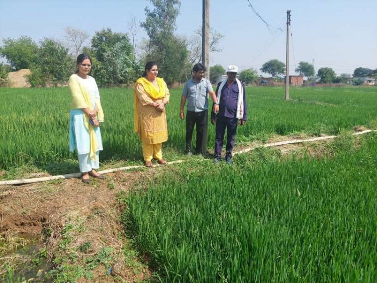 बेमौसम बारिश और ओलावृष्टि से बीमित फसलों को हुई क्षति की जानकारी दें किसान