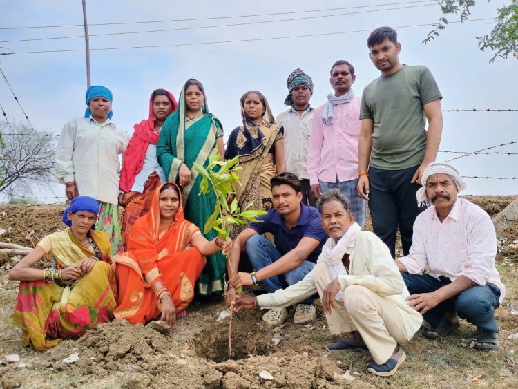 पर्यावरण दिवस पर कोड़िया में पौधरोपण, गांव को हरा-भरा बनाने लिया संकल्प