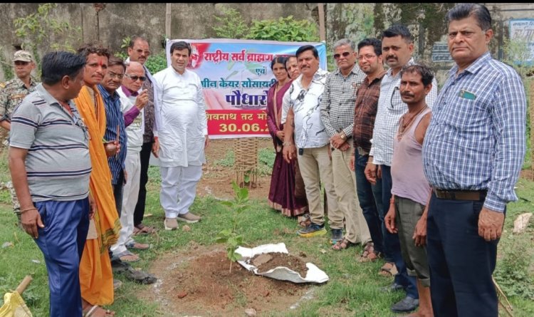 हर व्यक्ति पौधा अपने घर के आस पास एक पौधा अवश्य लगाए शहर में हरियाली बढ़ाए - महापौर धीरज बाकलीवाल