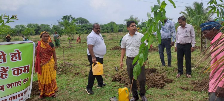 ग्राम पंचायत भटगांव में एक दिन में लगाए गए 3000 पौधे