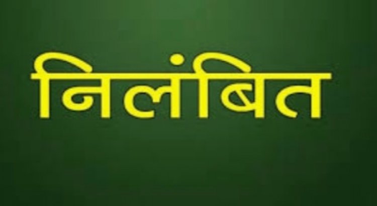 फटाका लाइसेंस के लिए कलेक्ट्रेट की स्टेनो टाइपिस्ट ने मांगी रिश्वत, ऑडियो वायरल होने के बाद निलंबित