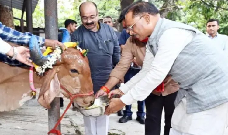 छत्तीसगढ़ के मुख्यमंत्री विष्णुदेव साय ने शनिवार को गोवर्धन पूजा के अवसर पर अपने निवास की गौशाला में गौवंश की पूजा-अर्चना की