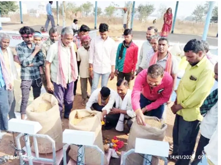 छत्तीसगढ़ में 3100 रुपए समर्थन मूल्य पर धान खरीदी शुरू, सीएम साय बोले- 72 घंटे के अंदर होगा भुगतान