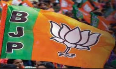 गुजरात स्थानीय निकाय चुनाव के लिए वोटिंग जारी, 215 सीटों पर चुनाव से पहले BJP की निर्विरोध जीत!