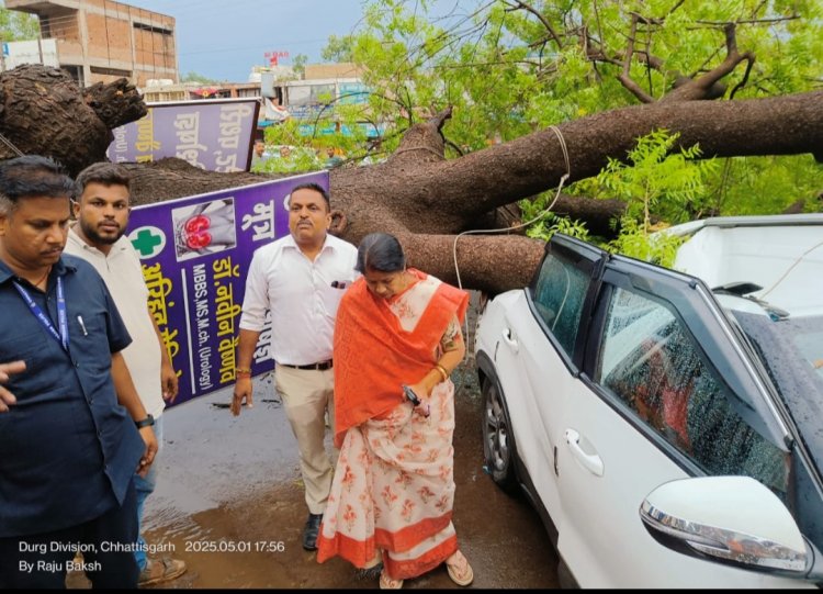 दुर्ग:आंधी-तूफान के कहर के कारण नया बस स्टैंड के पास 100 साल पुराना नीम का पेड़ गिरा,महापौर श्रीमती अलका बाघमार ने घटनास्थल का निरीक्षण किया और तत्काल पेड़ हटाने के निर्देश दिए