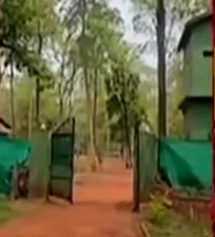 सुकमा में पदस्थ गोपनीय सैनिक खुद के राइफल से स्वयं को मारी गोली