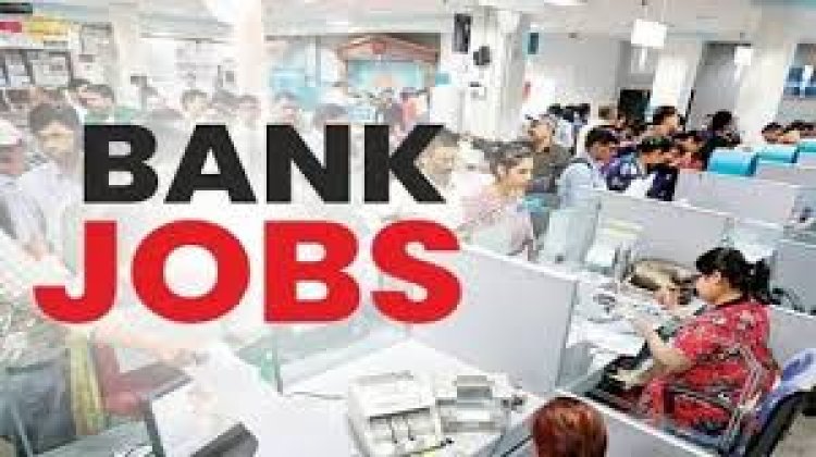 बैंकिंग सेक्टर में नौकरी का सुनहरा मौका, साउथ इंडियन बैंक में निकली भर्ती; ग्रेजुएट्स करें आवेदन