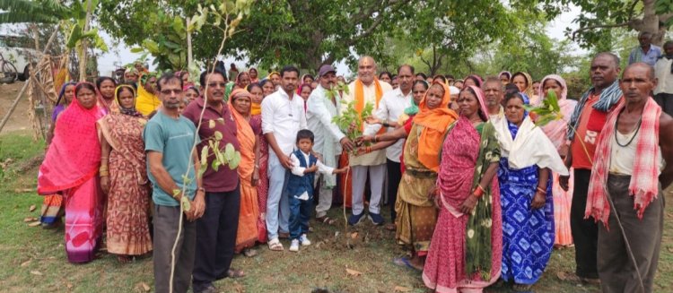 वृक्ष हमारे जीवन का आधार है इनका संवर्धन व संरक्षण हमरा कर्त्तव्य है:विधायक ललित चंद्राकर
