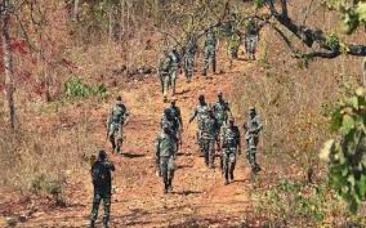 छत्तीसगढ़: बीजापुर में ताबड़तोड़ एक्शन जारी, 7 माओवादियों के शव और हथियारों का जखीरा बरामद