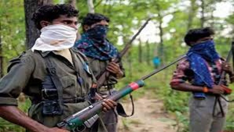 IED की चपेट में आया युवक: गाय चराने गया था जंगल