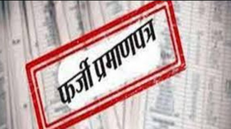 फर्जी प्रमाण पत्र से लड़ा सरपंच चुनाव, जीतने में भी कामयाब रही, अब लोगों ने कर दी SDM से शिकायत