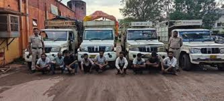 गौ तस्करी पर पुलिस का शिकंजा : 4 पिकअप में ठूंसकर मवेशियों को ले जा रहे थे बूचड़खाने, 9 अंतरराज्यीय पशु तस्कर गिरफ्तार