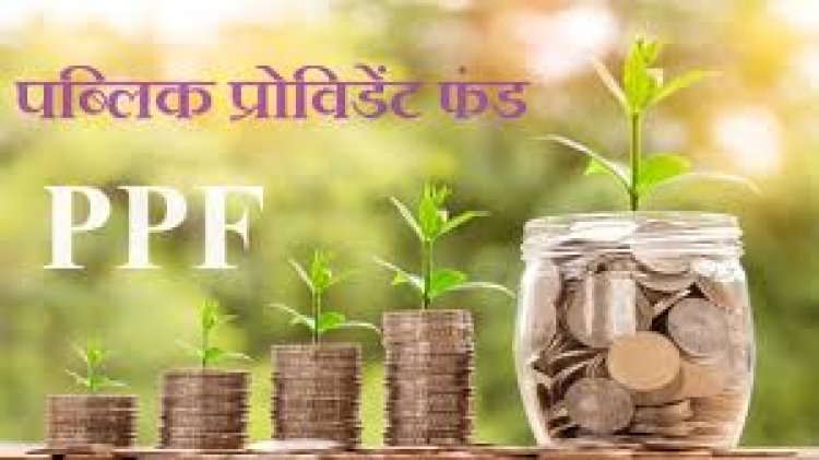 ऑनलाइन और ऑफलाइन PPF बैलेंस चेक करने का आसान तरीका – स्टेप्स फॉलो करें और तुरंत देखें