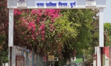 “सुप्रीम कोर्ट के आदेश पर निगम एक्शन मोड में—सार्वजनिक स्थलों पर आवारा कुत्तों से सुरक्षा होगी सख्त”