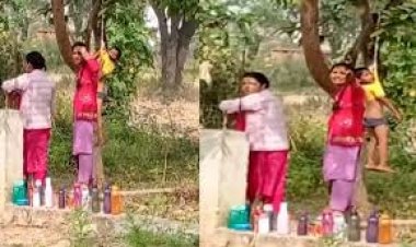 मासूम को अमानवीय सजा: शर्ट में फंसाकर पेड़ से लटकाया, VIDEO सामने आने पर पालकों में आक्रोश