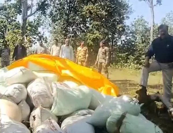 हीरो स्टाईल में SDM ने धान के अवैध परिवहन पर फेरा पानी, इतना ही नहीं डायलॉग भी मारा