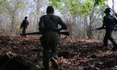 छत्तीसगढ़ में सरेंडर किए माओवादी की हत्या, नकाबपोशों ने कुल्हाड़ी से काटकर ली जान