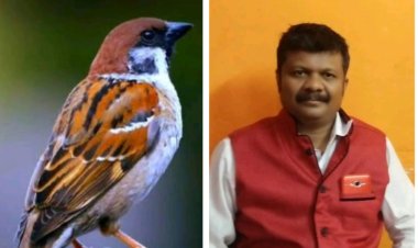 राष्ट्रीय पक्षी दिवस विशेष 05 जनवरी: राष्ट्रीय पक्षी दिवस पर पक्षियों के संरक्षण और अधिकारों को लेकर जागरूकता का संदेश