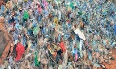 नगरीय प्रशासन विभाग ने सिंगल यूज प्लास्टिक पर प्रतिबंध लगाने निकायों को जारी किया परिपत्र