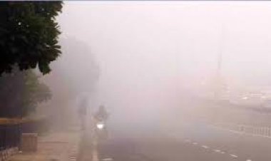 छत्तीसगढ़ में फिर बढ़ेगी ठंड, अगले 2 दिन चलेगी शीतलहर, मौसम विभाग ने जारी किया अलर्ट…