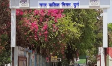 26 जनवरी को दुर्ग में मांस-मटन बिक्री पर पूर्ण प्रतिबंध, उल्लंघन पर होगी जप्ती व कार्रवाई