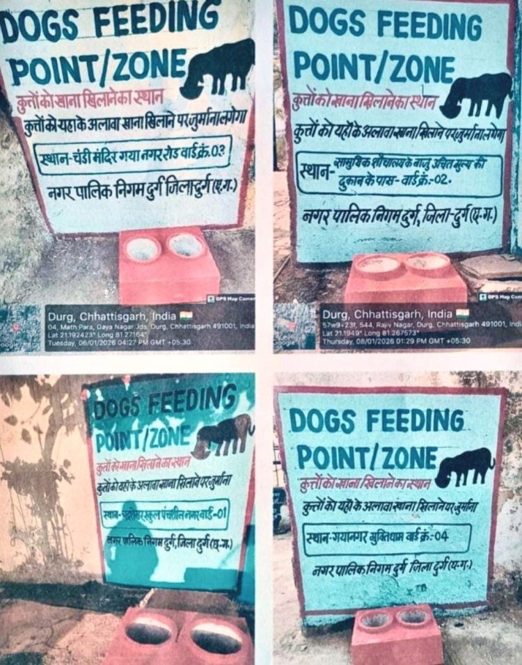 सुप्रीम कोर्ट के आदेश पर नगर निगम दुर्ग ने बनाए डॉग फीडिंग ज़ोन
