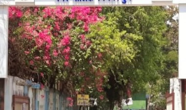 दुर्ग :राजस्व राशि में गड़बड़ी पर निगम आयुक्त की सख्ती, दो कर्मचारी निलंबित