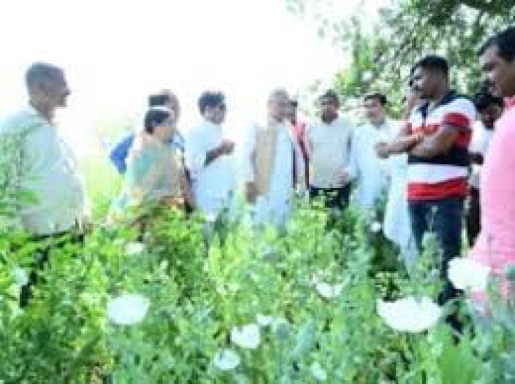 दुर्ग : समोदा पहुंचकर भूपेश बघेल ने किया खेत का मुआयना, अफीम खेती को लेकर भाजपा पर हमला