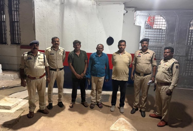 दुर्ग जिले में अफीम की अवैध खेती पर बड़ी कार्रवाई, करोड़ों के पौधे जप्त