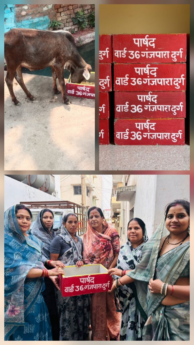 दुर्ग में जनसेवा की मिसाल: पार्षद प्रतिभा गुप्ता ने पशु-पक्षियों के लिए किया विशेष इंतजाम