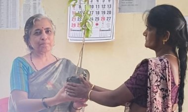 करदाताओं को पौधा देकर सम्मानित कर  दुर्ग निगम ने शुरू की अनूठी पहल