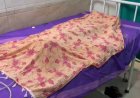 कोरबा में आवारा कुत्तों का कहर, 5 साल के बच्चे की मौत के बाद कार्रवाई की मांग