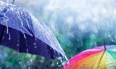 छत्तीसगढ़ में मानसून मेहरबान, अगले 5 दिनों तक झमाझम बारिश के आसार