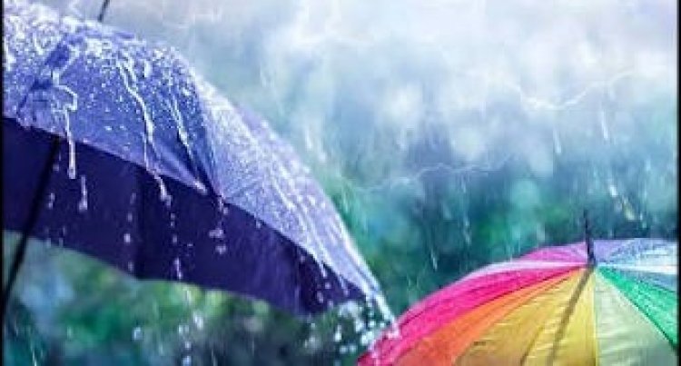 छत्तीसगढ़ में मानसून मेहरबान, अगले 5 दिनों तक झमाझम बारिश के आसार
