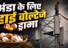 अंडा नहीं मिला तो एयरटेल टावर पर चढ़ गया युवक, घंटों चला हाई वोल्टेज ड्रामा