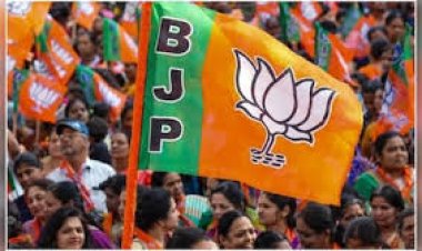 छत्तीसगढ़ भाजपा ने RTI प्रकोष्ठ में की नई नियुक्तियां, पांचों संभागों के प्रभारी घोषित