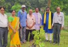अष्टमी पर सलूट तिरंगा संगठन ने वंदे मातरम उद्यान में लगाए देव वृक्ष समाजसेवी एवं अधिवक्ता विभा मिश्रा के जन्मदिवस पर पारिजात, बेल, आंवला, पीपल और नीम के पौधों का रोपण