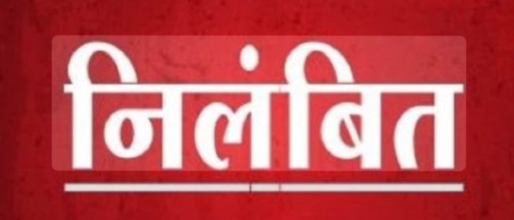 महासमुंद में पांच पटवारियों पर गिरी गाज, फसल सर्वे में लापरवाही और जमीन रिकॉर्ड में गड़बड़ी पर कार्रवाई
